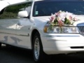 Limousine Hire